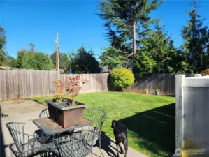 Another view of patio and yard.