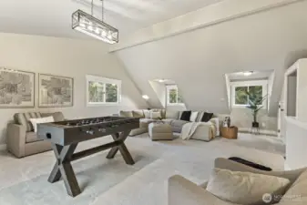 Large bonus room with vaulted ceilings