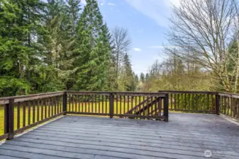 Wonderful deck space off of the bonus room