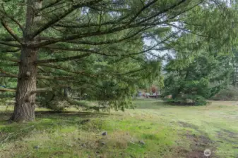 A close up of how private the property is and the many areas it provides.