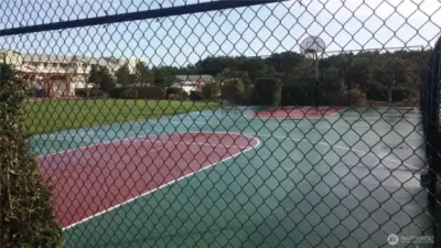 Sport court