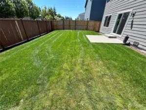 Fully landscaped and fenced back yard