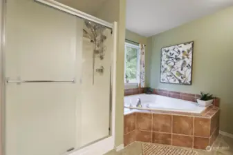 Separate shower and bath in this five-piece bathroom.