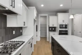 Gourmet Kitchen