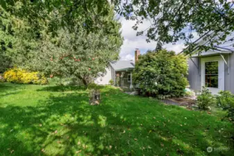 Spacious yard with fruit tree and gardens.