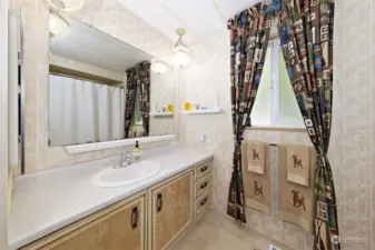 Large bathroom