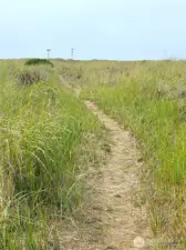 Beachwood's private deeded trail to beach....