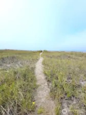 Approaching with Ocean in view....