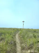 About halfway through the dunes....