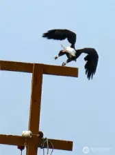 He's outta here....see ya later!