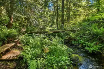 Tuck Creek runs along the length of the property near the South border.