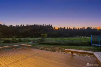 Watch eagles, herons, and a veriety of bird species from your own backyard