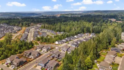 Aerial Street View