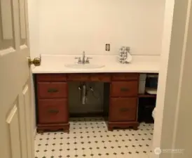 Ensuite master bath vanity has spacious counter top & storage, shower and window.