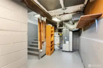 Nice area for storage in basement with shelving on upper part on the stair case.