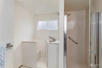 primary walk in tub and shower