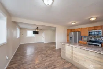 Lower Level Kitchen/Dining/Living rm