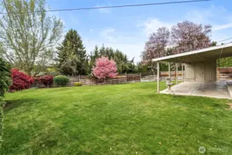 Fully fenced backyard