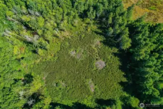 Partially cleared