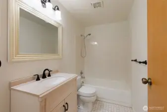 Second bathroom lower level.