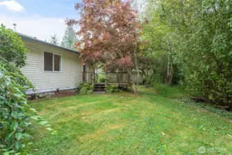 Nice grassy area in backyard - property goes back in trees a ways