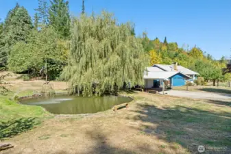 Trout Pond