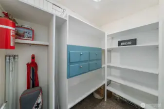 Walk In Pantry