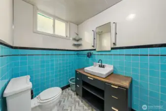 Basement Bathroom