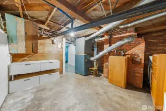 Basement Furnace and storage space