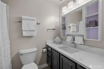 Guest Bath Main Floor