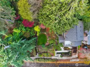 This is  the view of the footprint of your double lot home in Leschi.  10,500 sq foot lot with 3 bedrooms, 2.5 baths, plus 2 spaces for studio, shop, or storage.  The primary suite encompasses the entire top floor with a rooftop deck.  On the main level there is a chef's kitchen, formal dining and formal living room, hardwood floors and tremendous architectural detail.