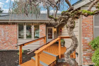 New Trex entry deck.