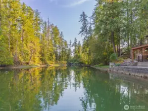 Enjoy the secluded feel from your backyard with so much privacy.