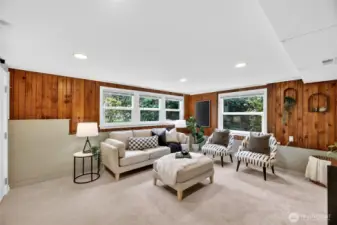 Daylight living area on lower level could also be used for a third bedroom.