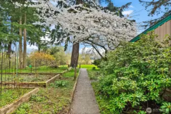 Trails, garden beds, a horse pasture, water and mountain view - this property is magical