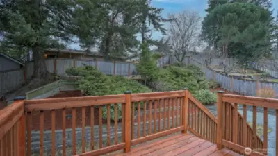 Step outside to this brand new deck just off the kitchen and dining room, great for entertaining, with steps leading to the spacious back yard!