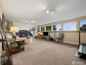 Family Room / Flex Space