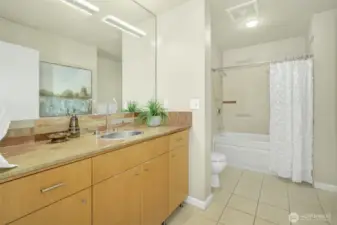 Hall bath