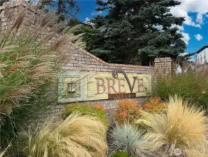 Welcome to Breve