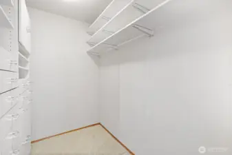 SPACIOUS WALK-IN CLOSET IN PRIMARY SUITE! MORE THAN LARGE ENOUGH.