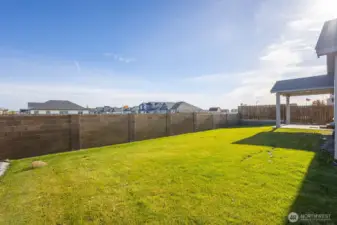 Expansive backyard