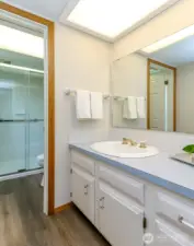 The primary bathroom has a shower room