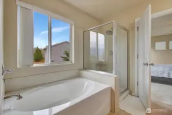 Soaking tub and shower with views out to the foothils.