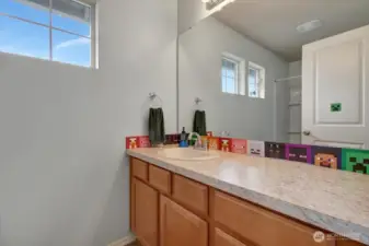 2nd full bathroom on the 2nd floor.  Current "Mine Craft" decorations can easily be removed.