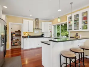 Breakfast bar, walk-in pantry and updated appliances make cooking in this space a dream