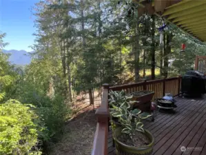 Easy access to the driveway and guest house through the secure deck gate.