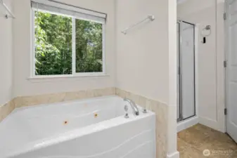 Five piece bath with jetted tub and shower
