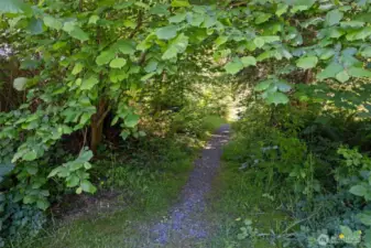 Neighborhood walking trails with fitness stations