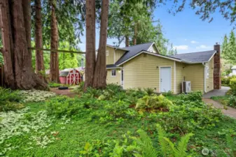 Backyard wonderland with tire swing.