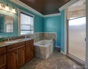 Full bathroom off of Primary features a soaking tub and separate shower